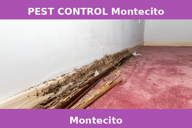 PEST CONTROL Montecito